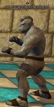 An escaped orc kadaren