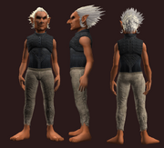 Archon's Breastplate of the Citadel (Equipped)