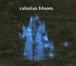 Valorian bloom