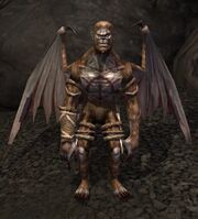 Race holgresh