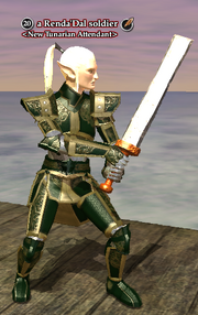A Renda'Dal soldier (Qeynos Province District)