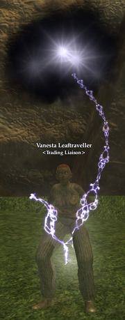 Vanesta leaftraveller