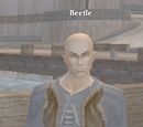 Beetle