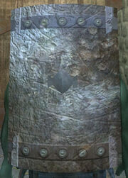 Carbonite Tower Shield, Equipped