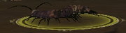 Plague-ridden Crawler Queen