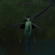 A Darkflight witch