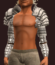 Gambler's Spaulders of the Citadel (Equipped)