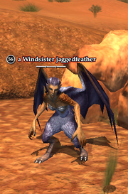 A Windsister jaggedfeather