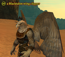 A Blacktalon wing clipper