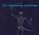 A dragonmage spellslinger