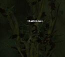 Thalbinous