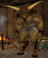 Race minotaur.jpg