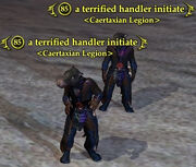 A terrified handler initiate