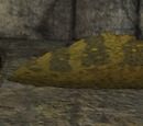 Slug (Guardian)