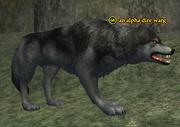 An alpha dire warg