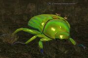 Lowland forestcrawler