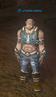 A Sullon outlaw