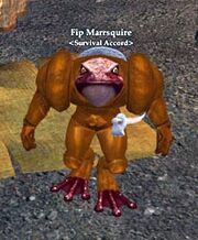 Fip Marrsquire