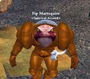 Fip Marrsquire