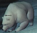 Icemaul