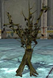 Treant Sapling (Visible)
