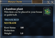 A bamboo plant