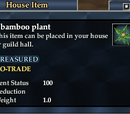 A bamboo plant