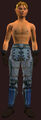 Cloth Armor of the Sage(Worn).jpg