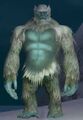 Race yeti.jpg