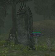 Lost dragoons