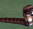 A rabid leech