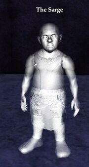 The Sarge