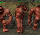 Clay Golem (Monk)