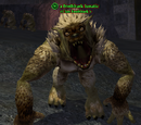A Frothbark lunatic