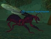A vicious Vespid hornet