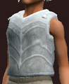 Apostle's Plate Cuirass of Resolve (Equipped).png