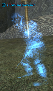 A Redbeard geomancer
