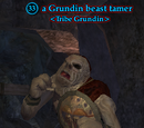 A Grundin beast tamer
