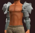 Acolyte's Wrought Plate Pauldrons (Equipped).png
