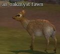 An oakmyst fawn.jpg