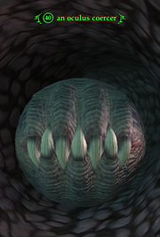 An oculus coercer