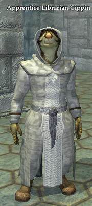 Apprentice Librarian Cippin