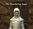 The Meandering Augur