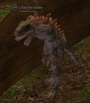 A Tae Ew raider