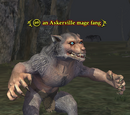 An Askerville mage fang