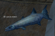A poison slimfish