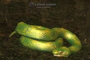 Plains serpent