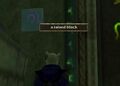 A raised block.jpg