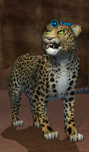 Fang
