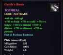 Guide's Boots
